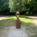 Wendover Woods