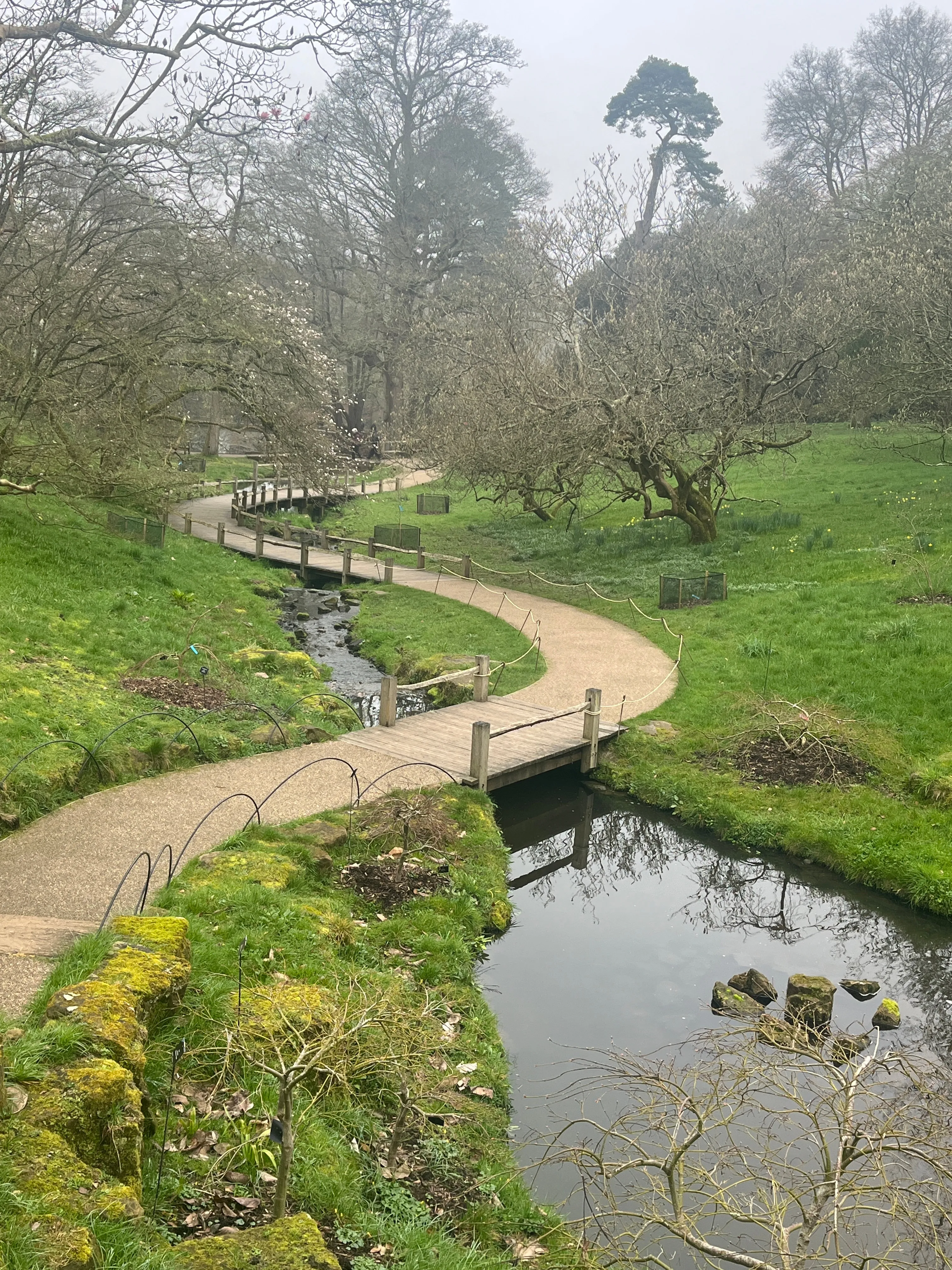 A stream with path that switches sides over a series of bridges