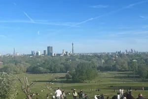 Read Primrose Hill Primrose Hill