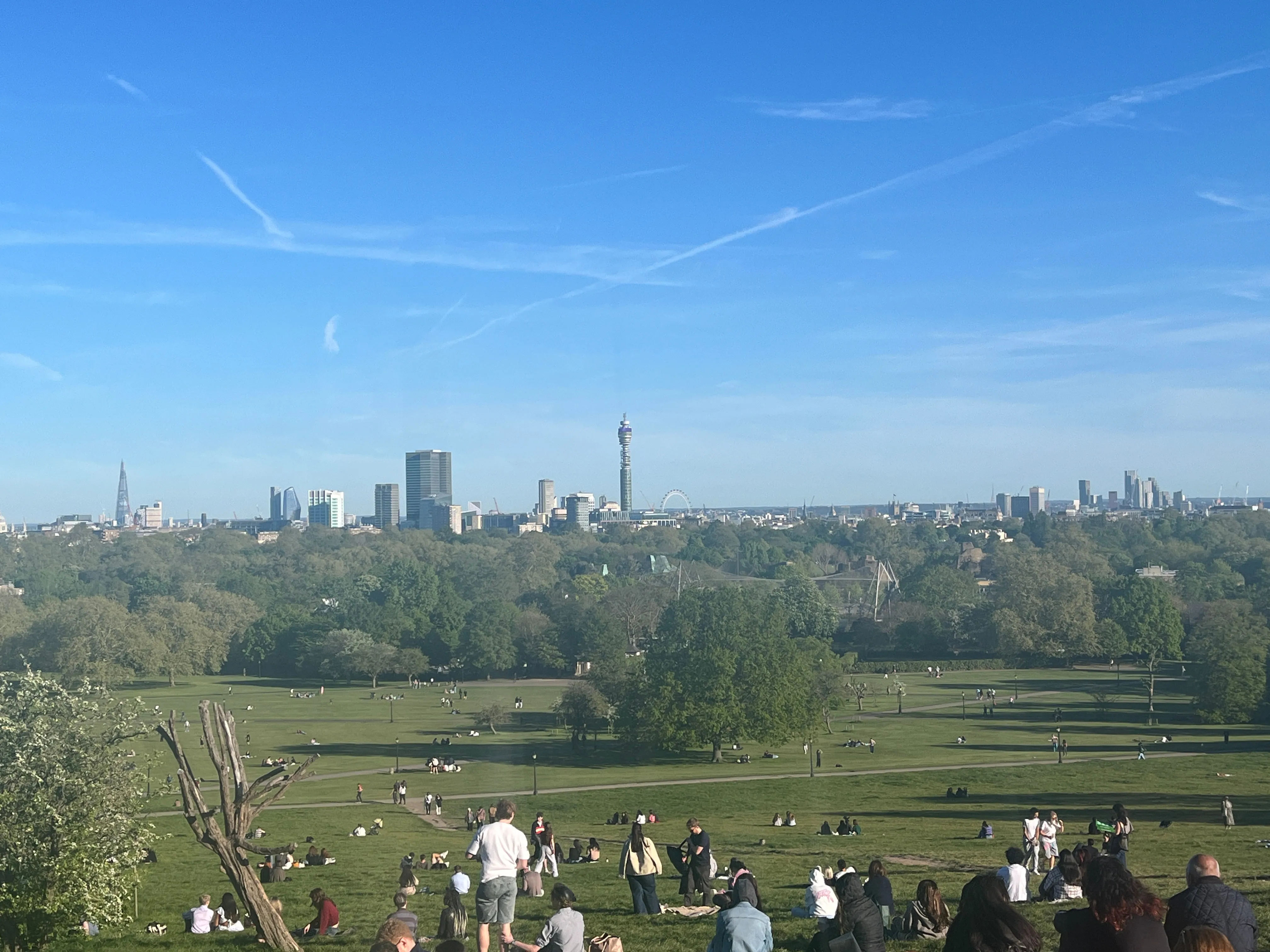 A view of a park with London skyscrapers in the background