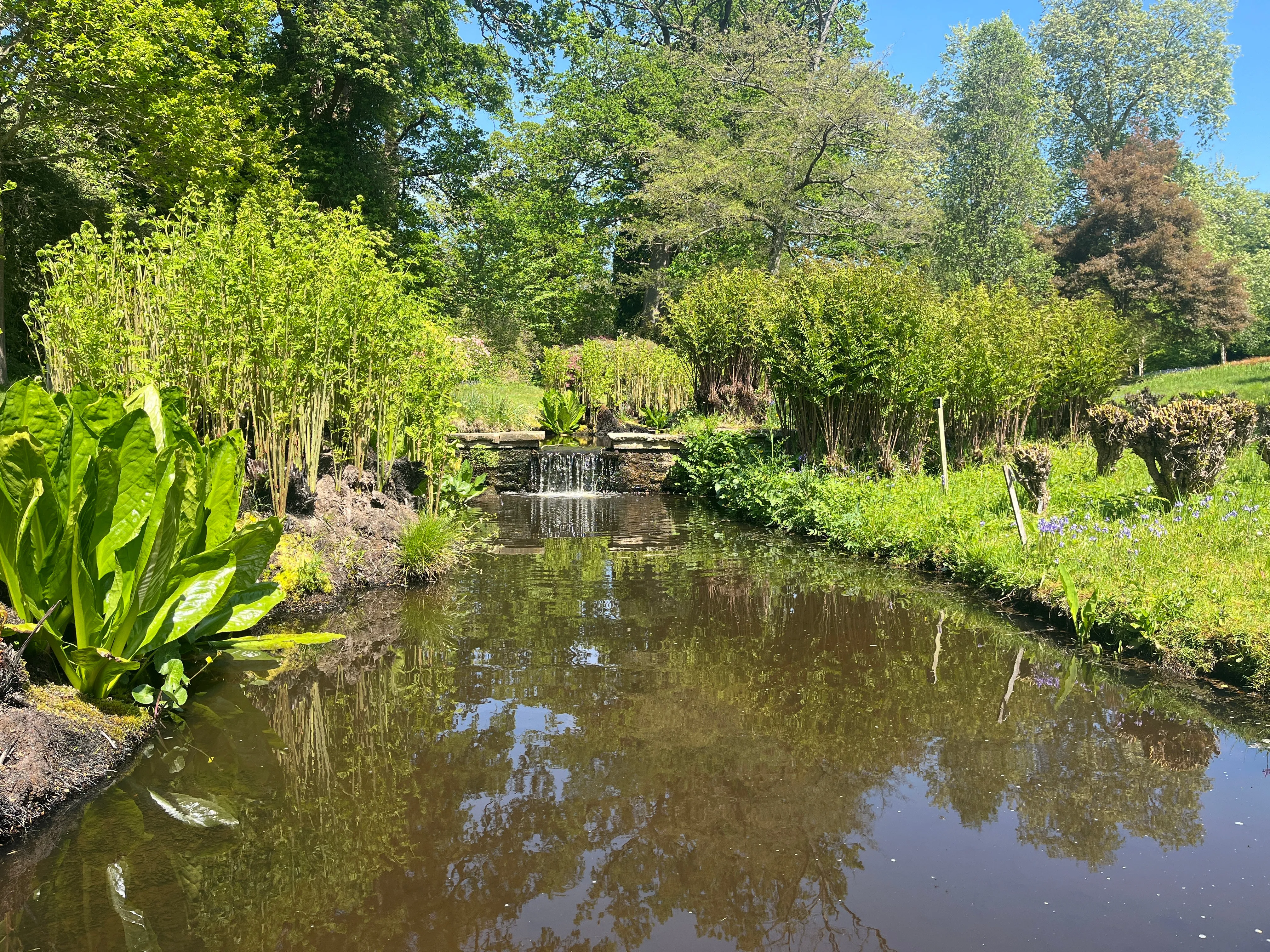 A river with small waterfall