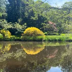 Savill Garden