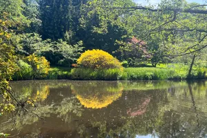 Savill Garden