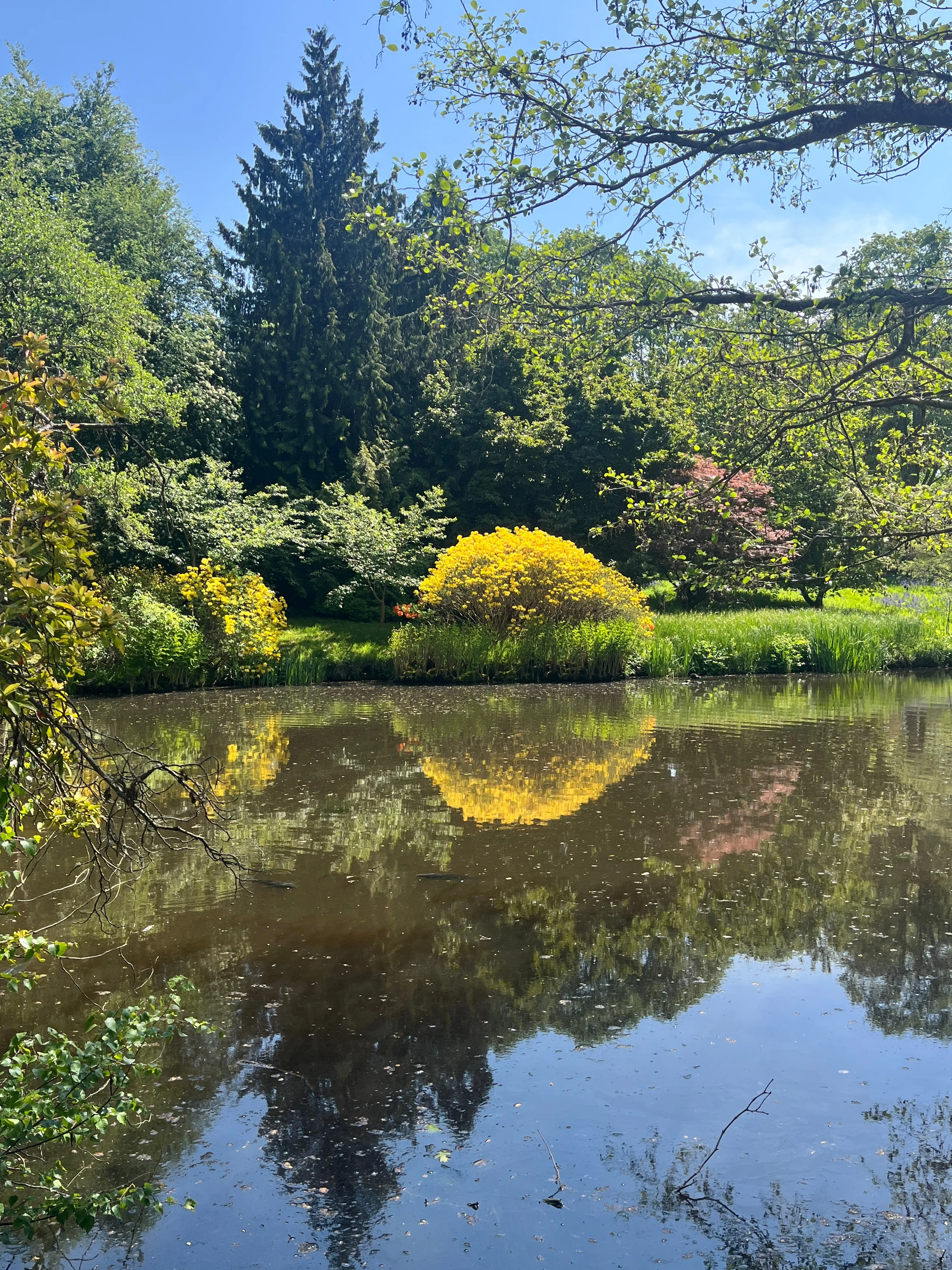 A large lake with trees behind it and a blue sky.