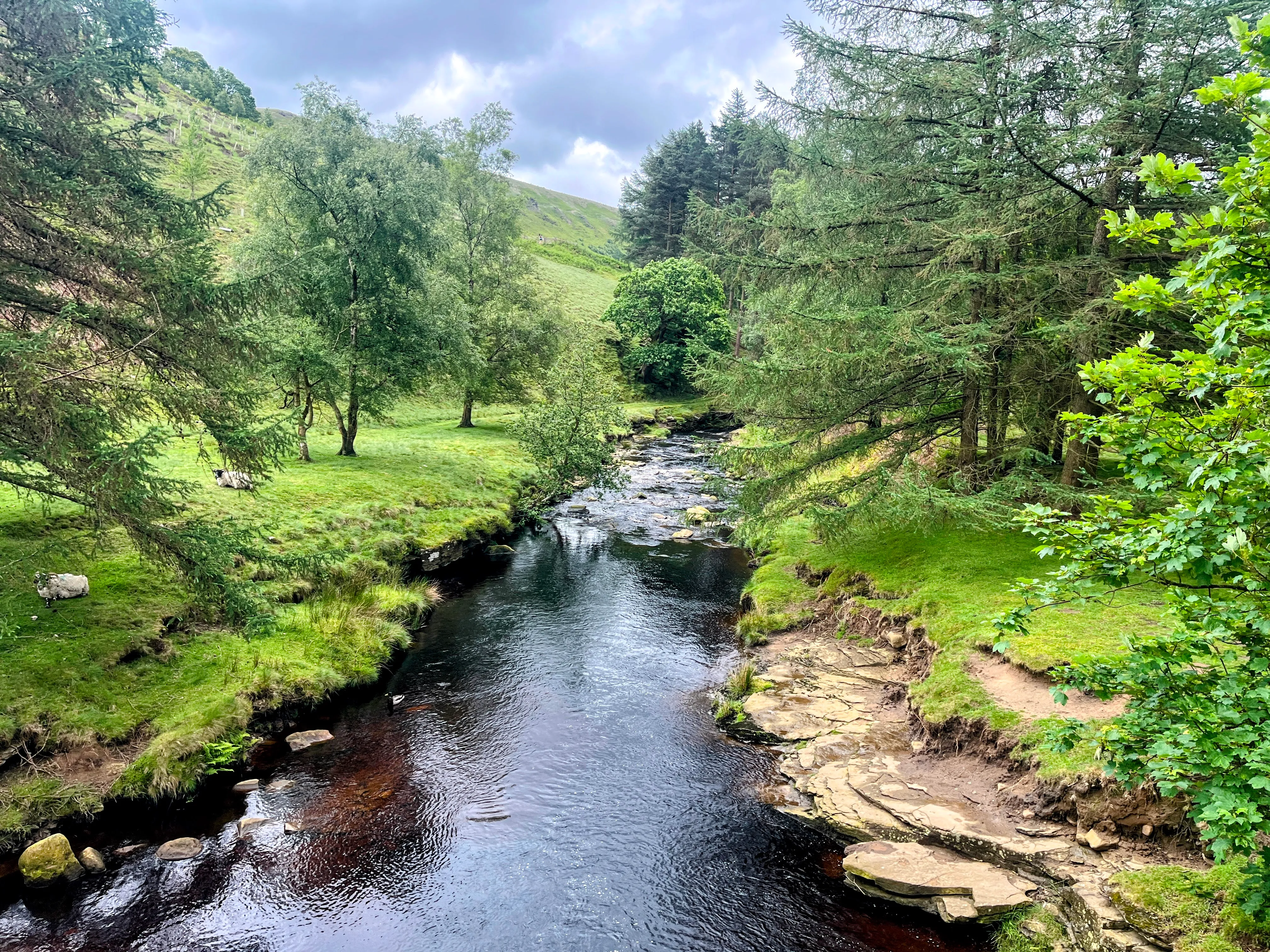 A photo of a river with trees on either side