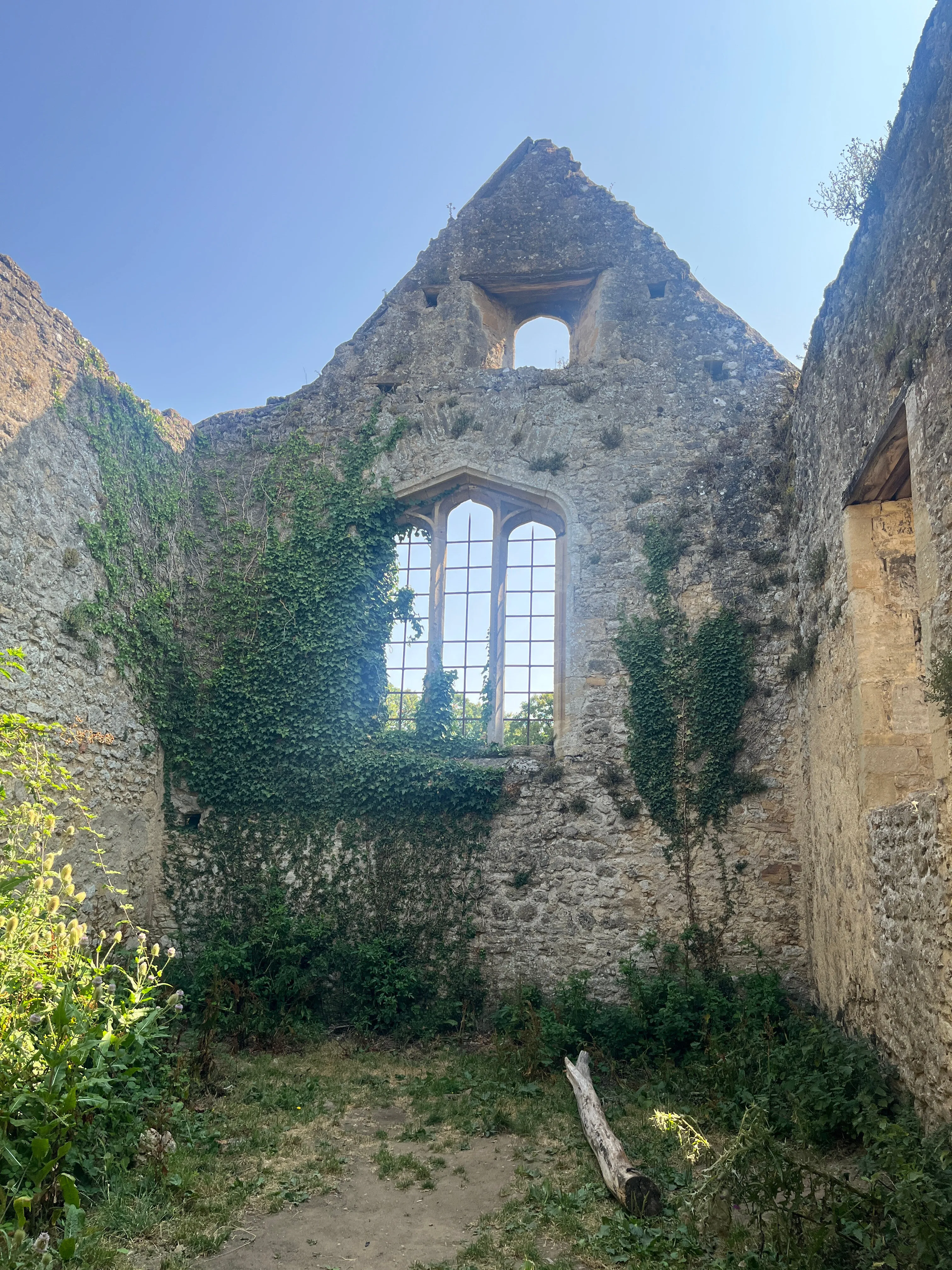 A stone walll (with no roof) that has green ivy growing up it