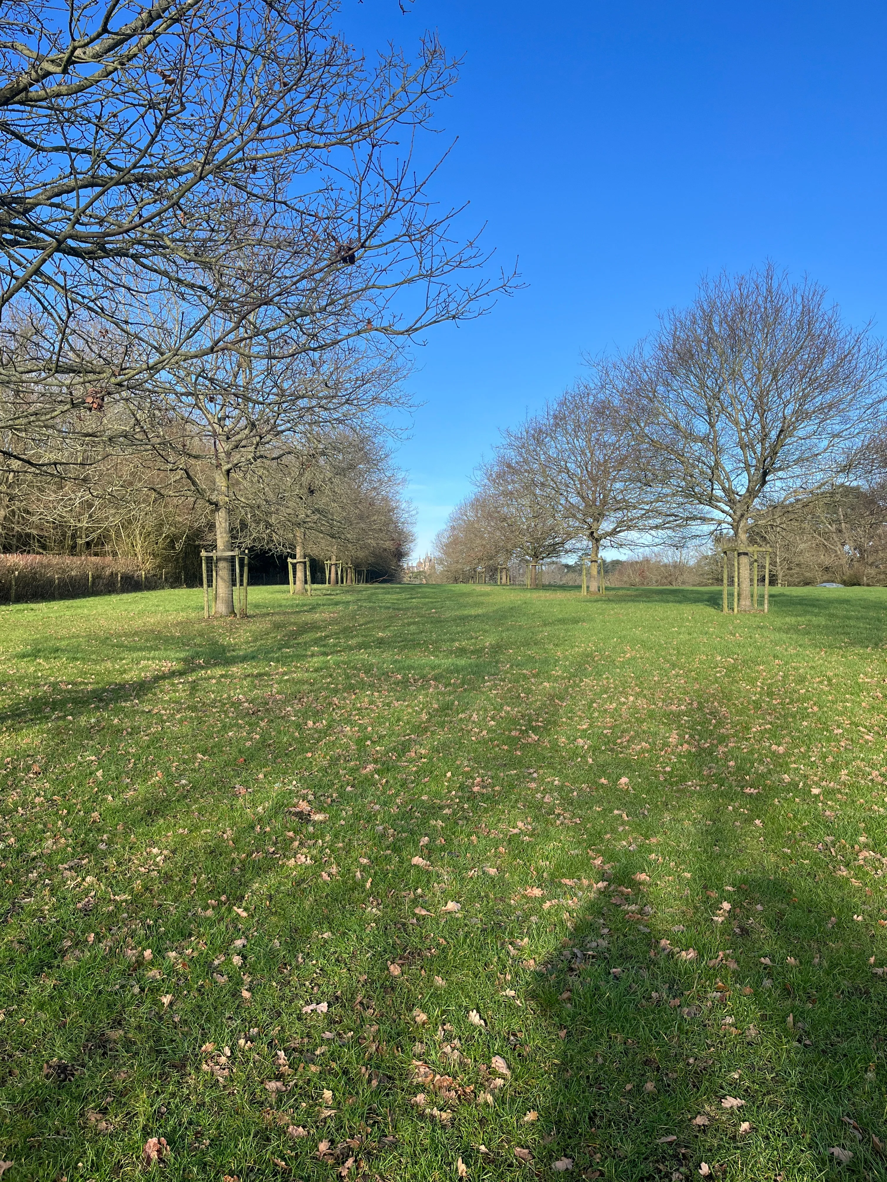 The view looking back up towards Waddesdon Manor