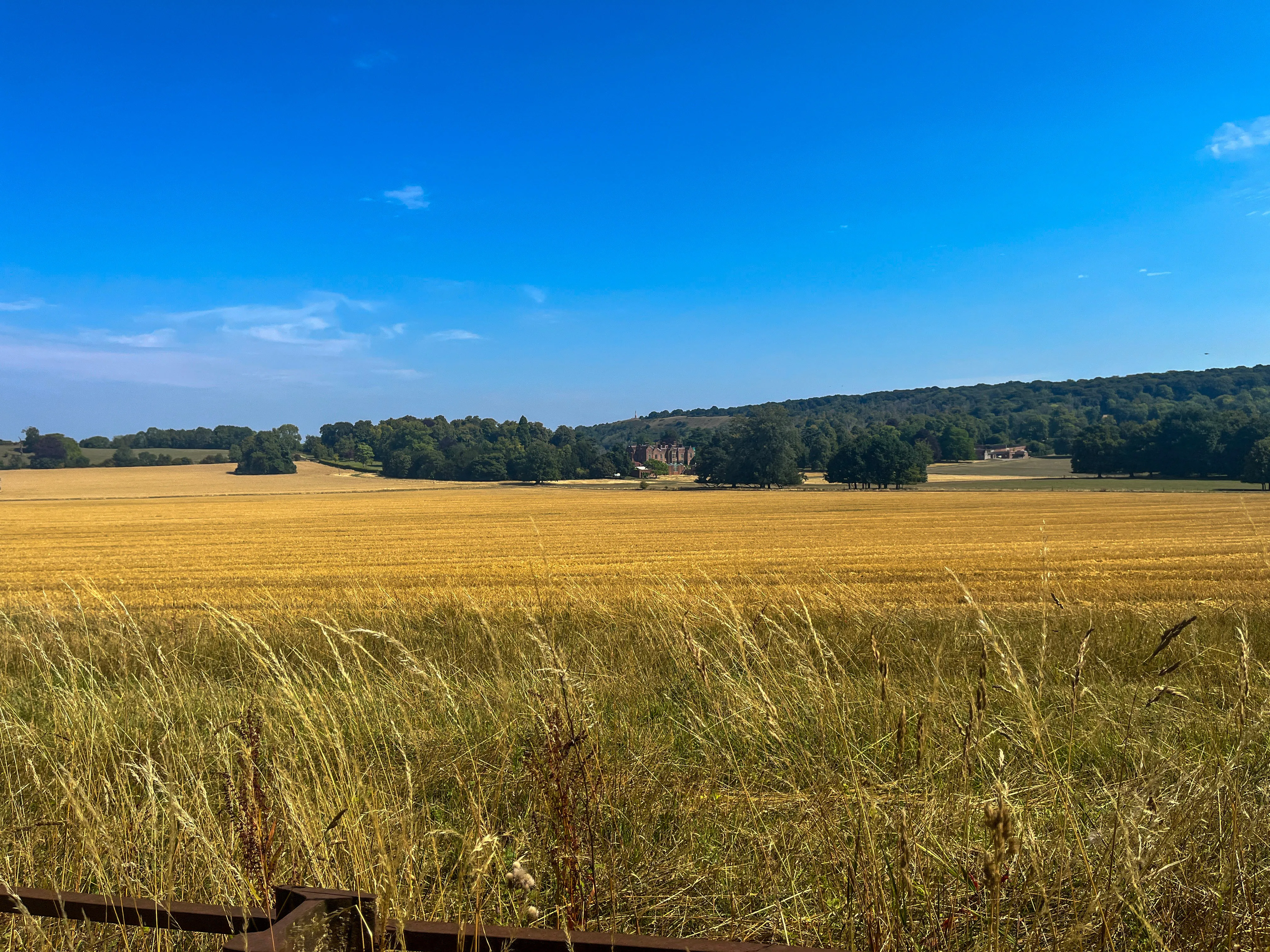 The view across the fields of Chequers