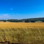 Chequers Estate & Whiteleaf Cross